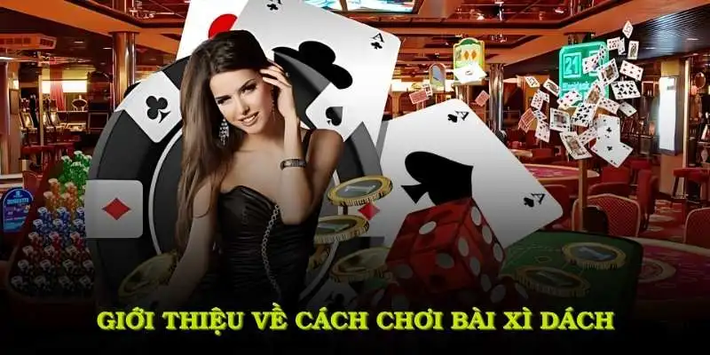 Giới thiệu về cách chơi bài xì dách phổ biến nhất