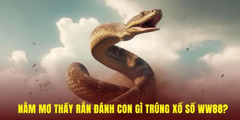 con số may mắn khi mơ thấy rắn