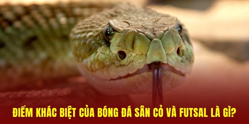 ý nghĩa giấc mơ thấy rắn
