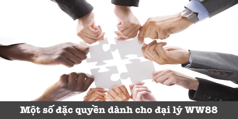 Quyền lợi của đại lý tại WW88