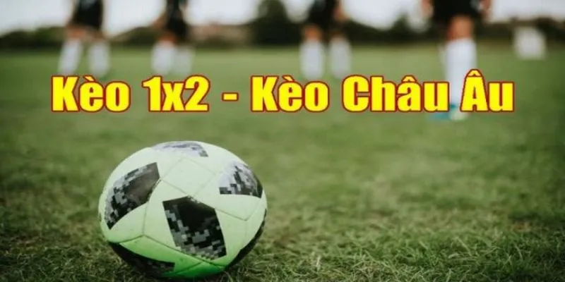 Sơ lược về hình thức giải trí thú vị kèo châu Âu