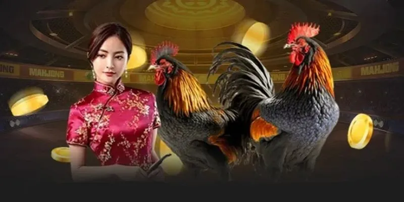 Tổng quan sơ lược về đá gà tại WW88